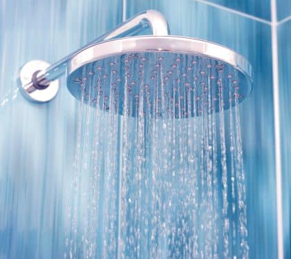 Rainfall shower head in a New Orleans bathroom